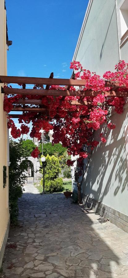 Zefiros 3* Gouvia