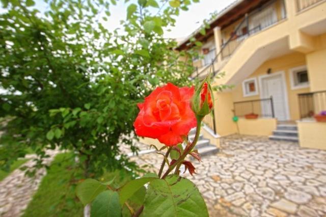 Zefiros Aparthotel 3*